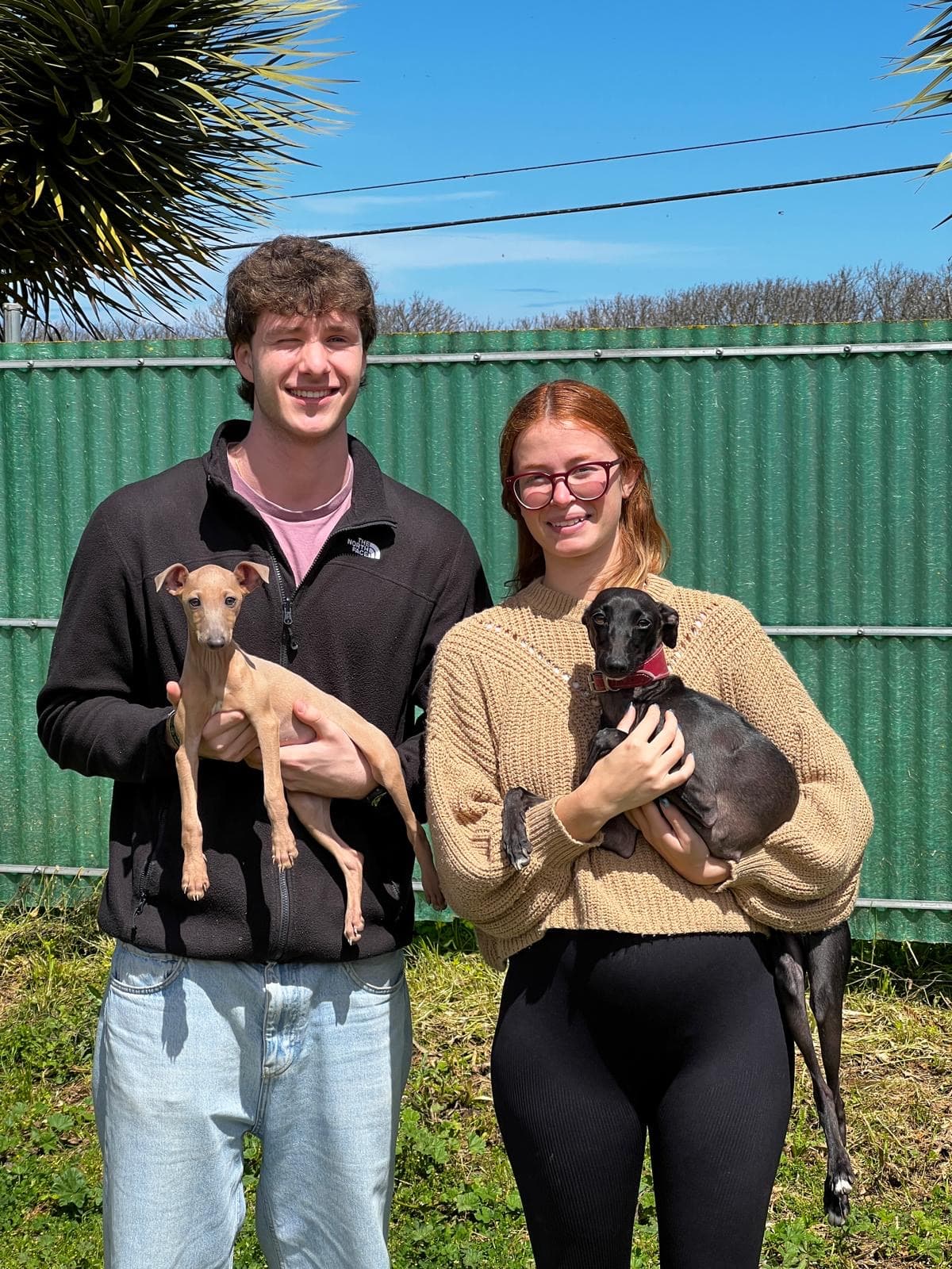 Pareja recogiendo sus cachorros Galgo Italiano en El Nieto